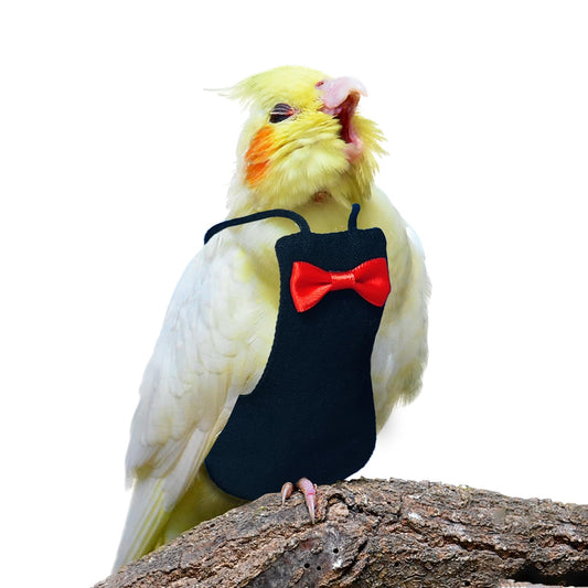 Parrot Diaper & Bird Flight Suit — Let Your Cockatiel Go Everywhere With You