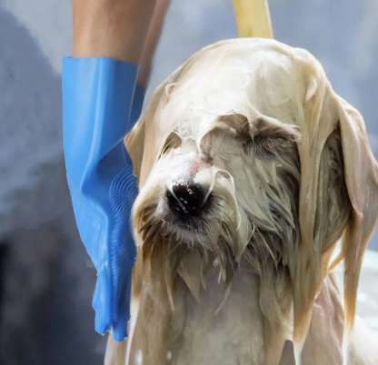 Pet Shedding Gloves — Groom Your Dog or Cat Just By Petting Them