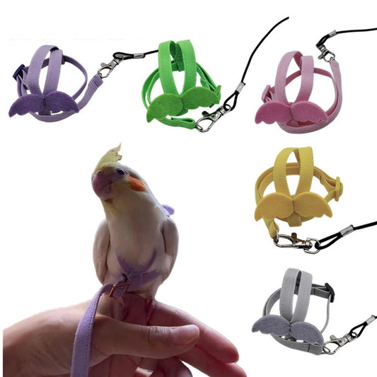 Parrot Flight Harness & Leash — Let Your Bird Explore the World Safely