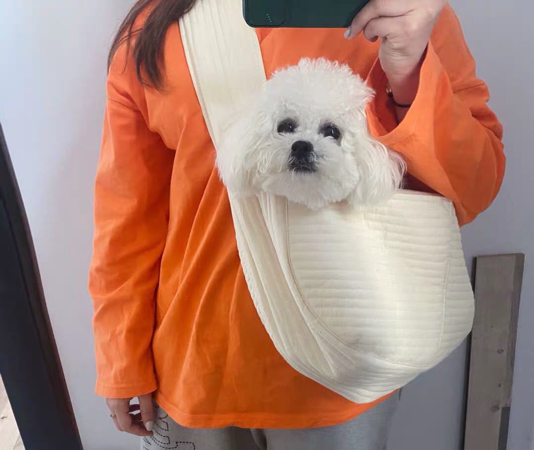 Breathable Summer Pet Carrier Bag for Cats & Small Dogs | Lightweight Canvas Travel Tote